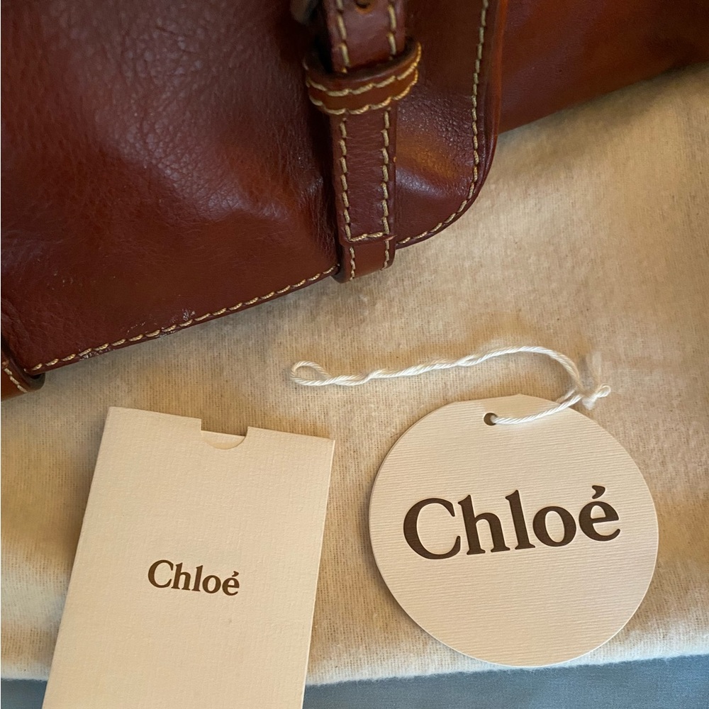 โญ๏ธHPโญ๏ธChloรฉ "Edith" satchel bag in buffalo leather๐ - Picture 13 of 13